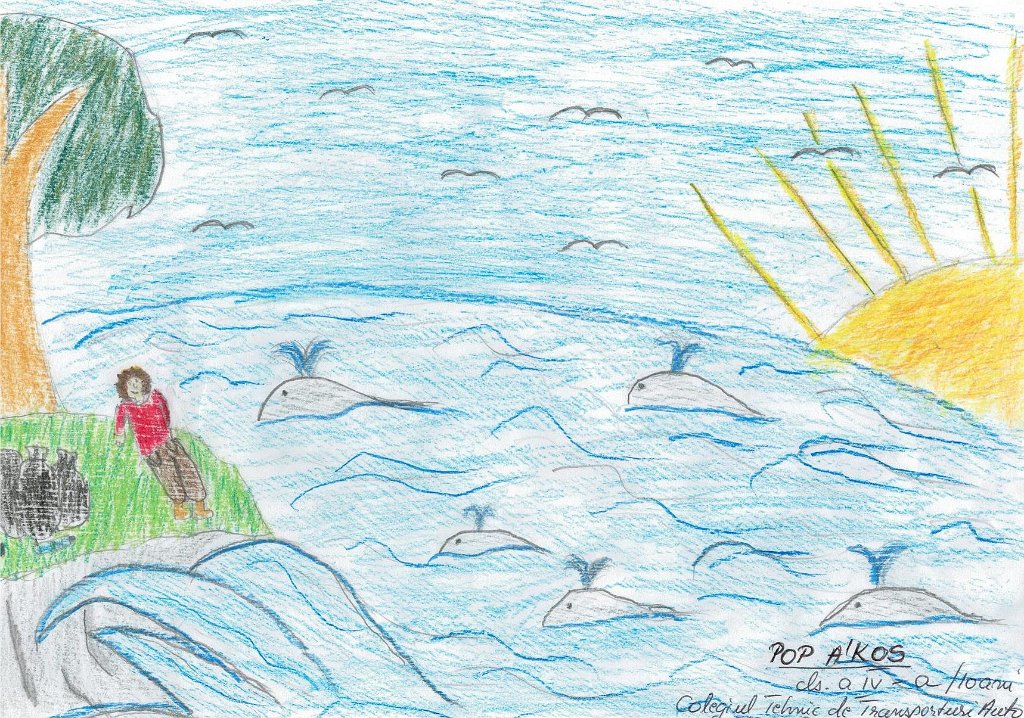 92_Pop Akos_CT Transp B Sprie_Prim.JPG - LEAD Technologies Inc. V1.01